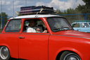 gal/pyrkomania - 1-4.05.08/_thb_small-IMG_3365.JPG
